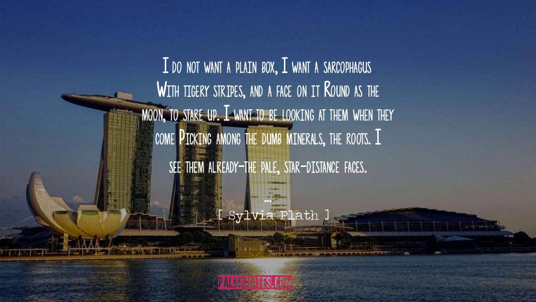 Sylvia Plath Quotes: I do not want a