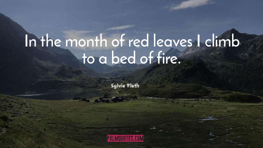 Sylvia Plath Quotes: In the month of red