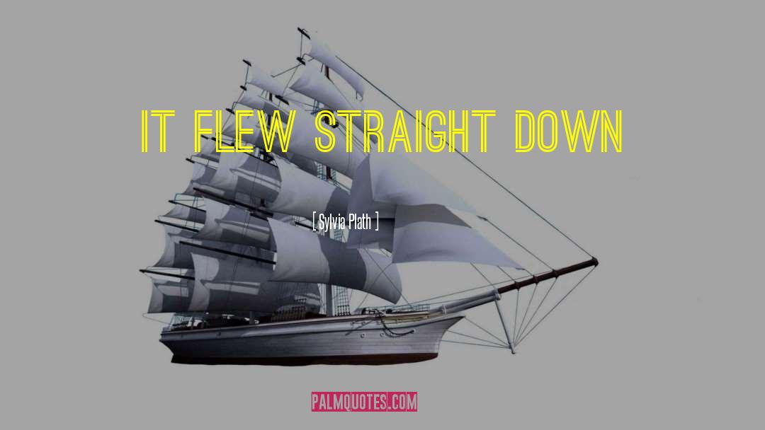 Sylvia Plath Quotes: It flew straight down