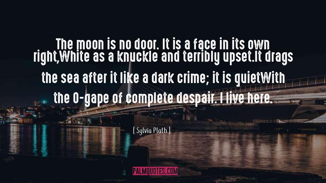 Sylvia Plath Quotes: The moon is no door.