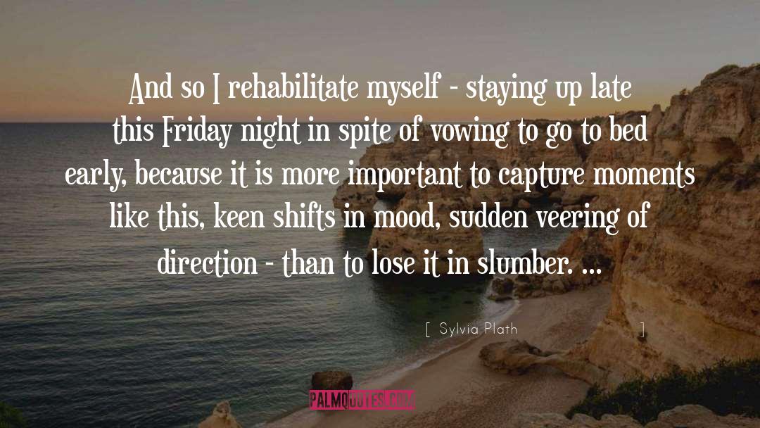 Sylvia Plath Quotes: And so I rehabilitate myself