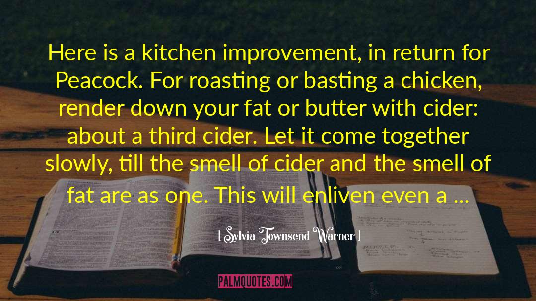 Sylvia Townsend Warner Quotes: Here is a kitchen improvement,