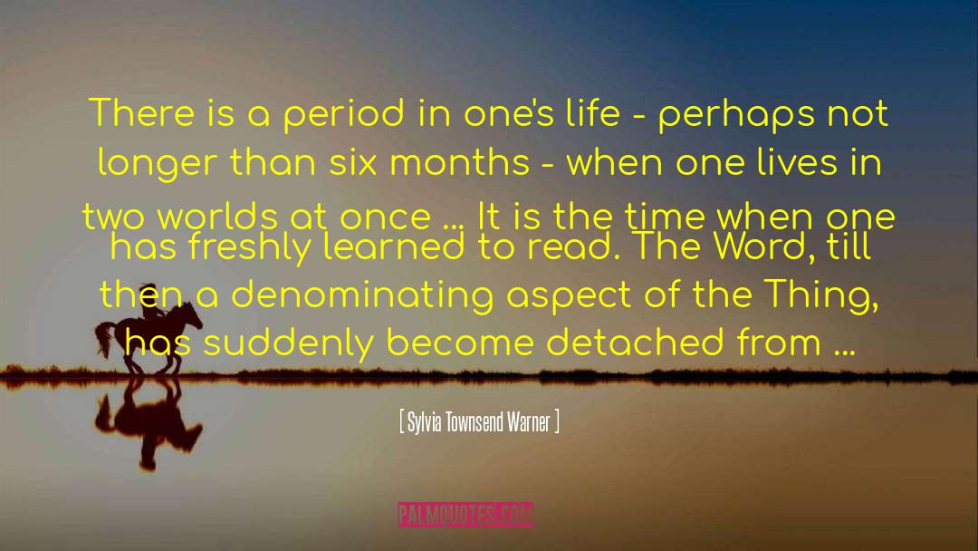 Sylvia Townsend Warner Quotes: There is a period in