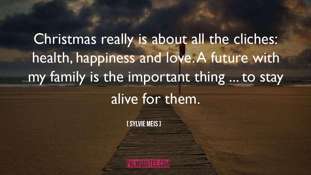 Sylvie Meis Quotes: Christmas really is about all
