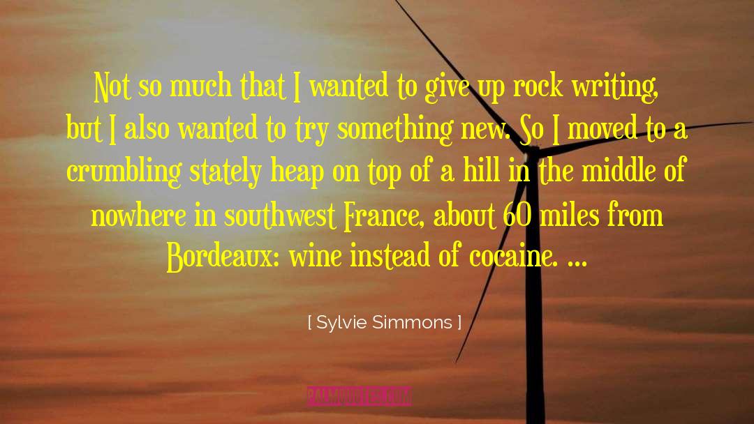 Sylvie Simmons Quotes: Not so much that I