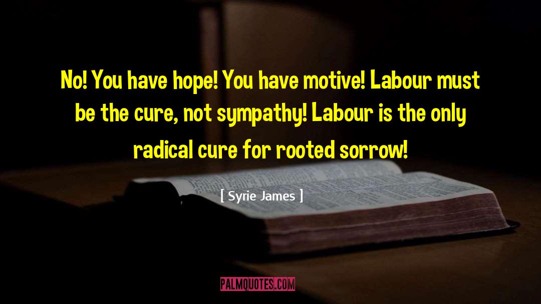 Syrie James Quotes: No! You have hope! You