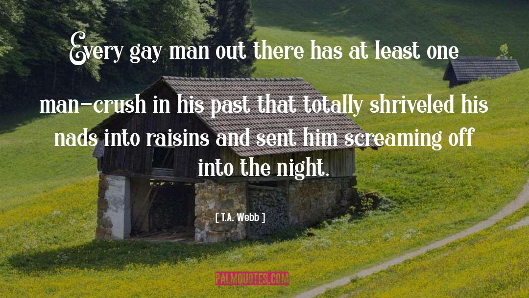 T.A. Webb Quotes: Every gay man out there