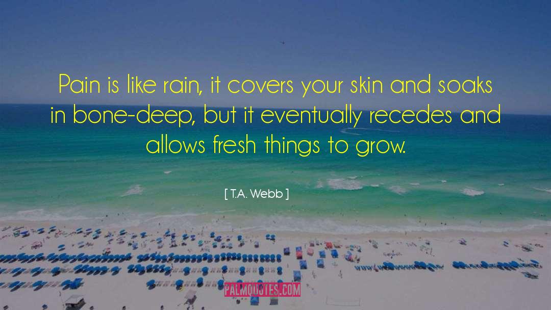 T.A. Webb Quotes: Pain is like rain, it