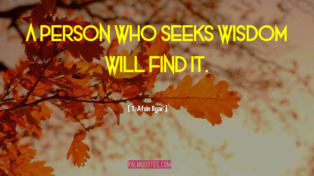 T. Afsin Ilgar Quotes: A person who seeks wisdom