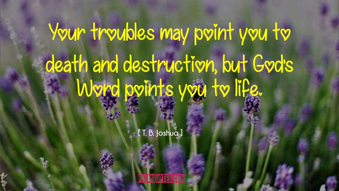 T. B. Joshua Quotes: Your troubles may point you