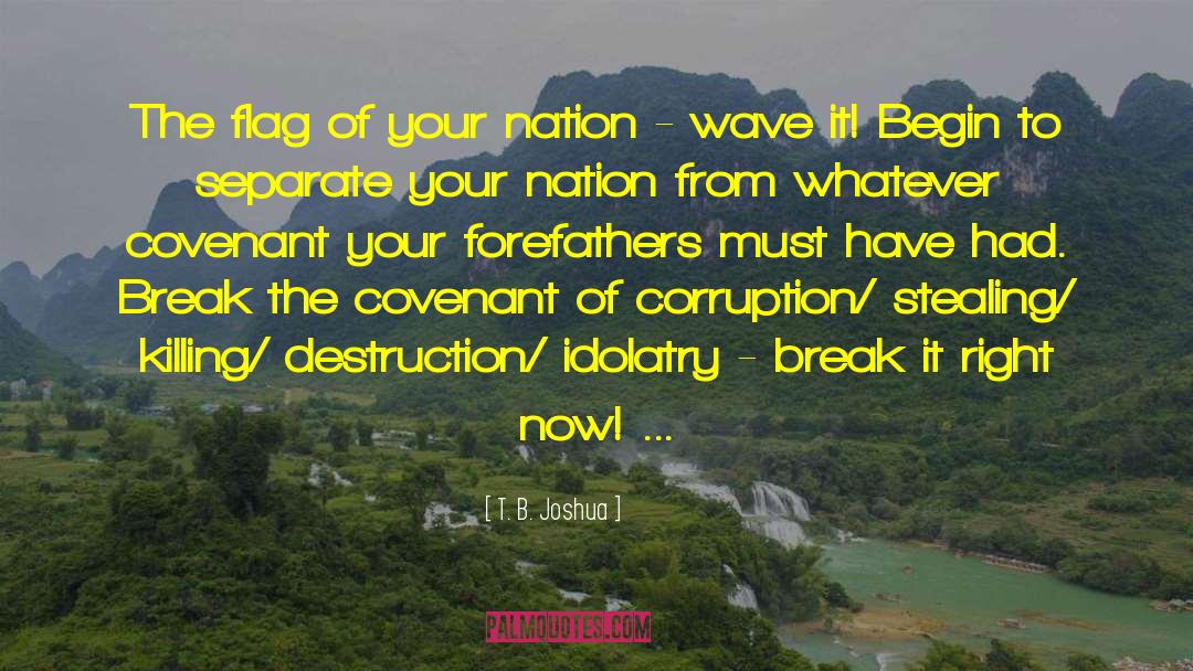 T. B. Joshua Quotes: The flag of your nation