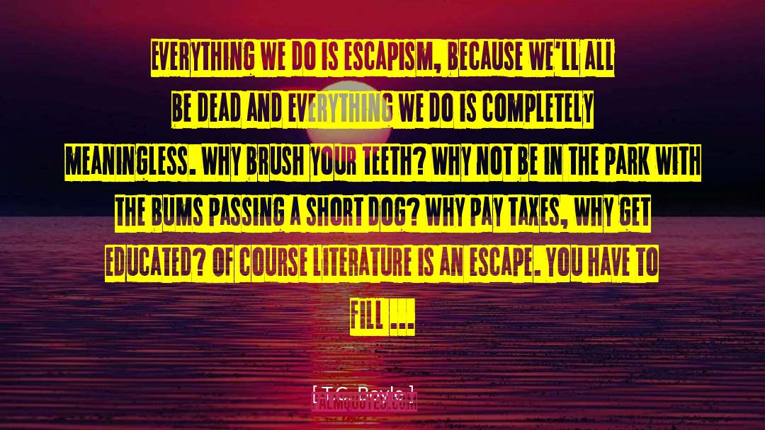 T.C. Boyle Quotes: Everything we do is escapism,