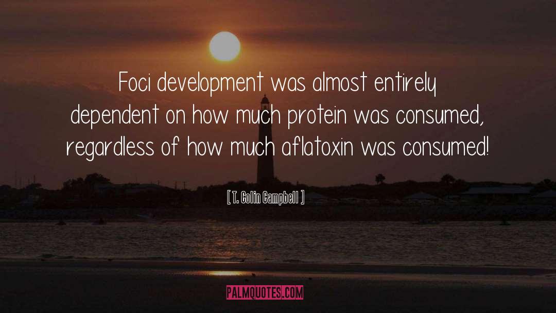 T. Colin Campbell Quotes: Foci development was almost entirely