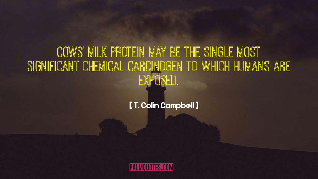 T. Colin Campbell Quotes: Cows' milk protein may be