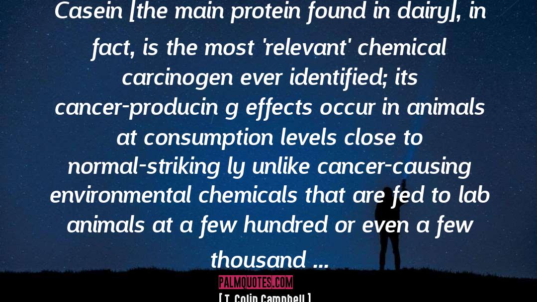 T. Colin Campbell Quotes: Casein [the main protein found