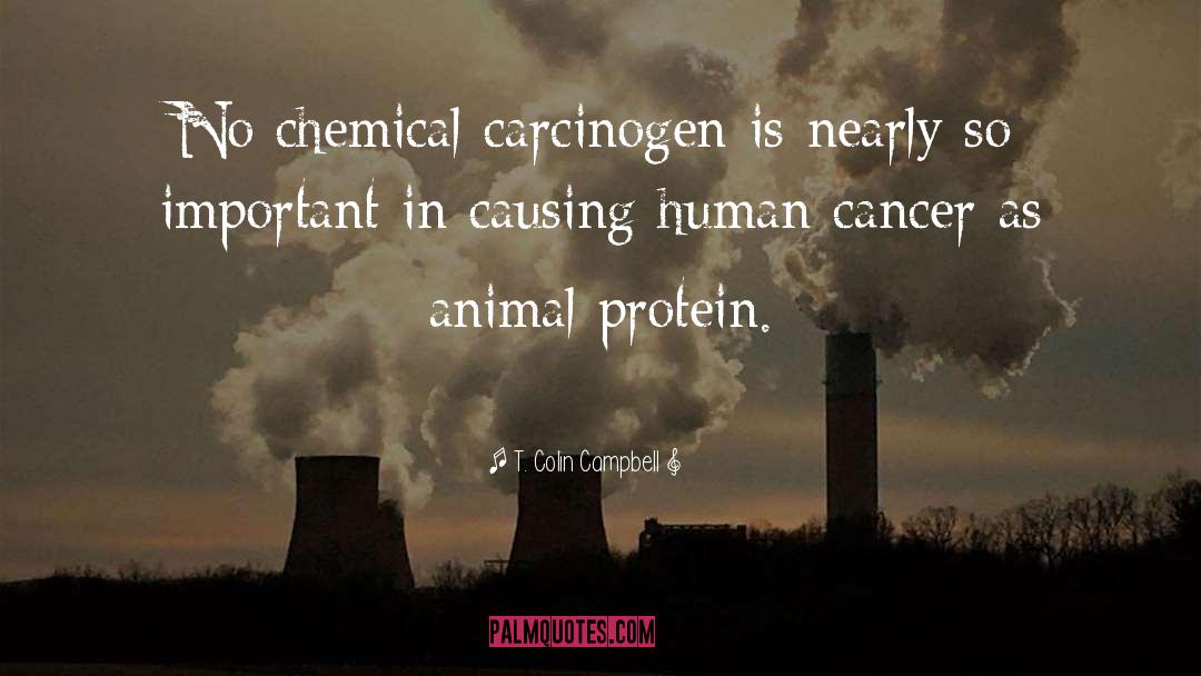 T. Colin Campbell Quotes: No chemical carcinogen is nearly