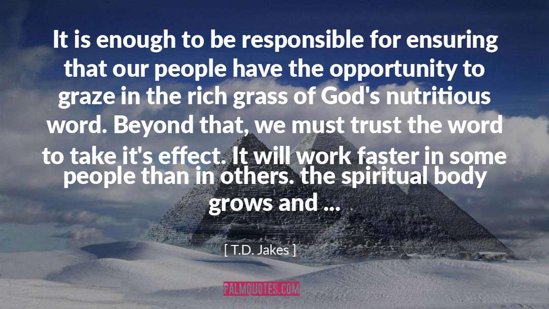 T.D. Jakes Quotes: It is enough to be