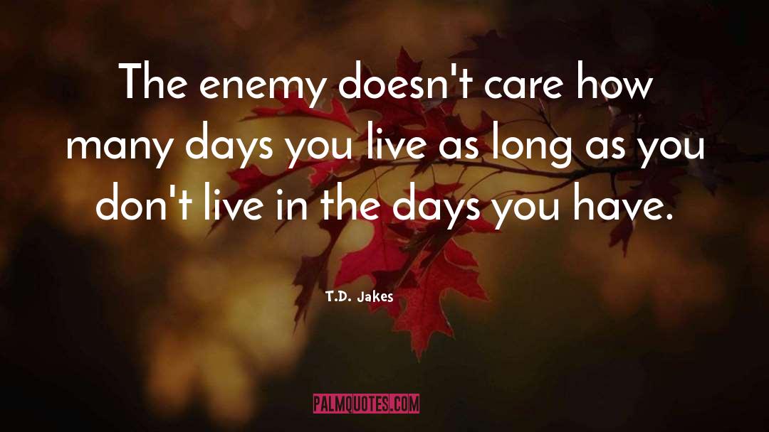 T.D. Jakes Quotes: The enemy doesn't care how