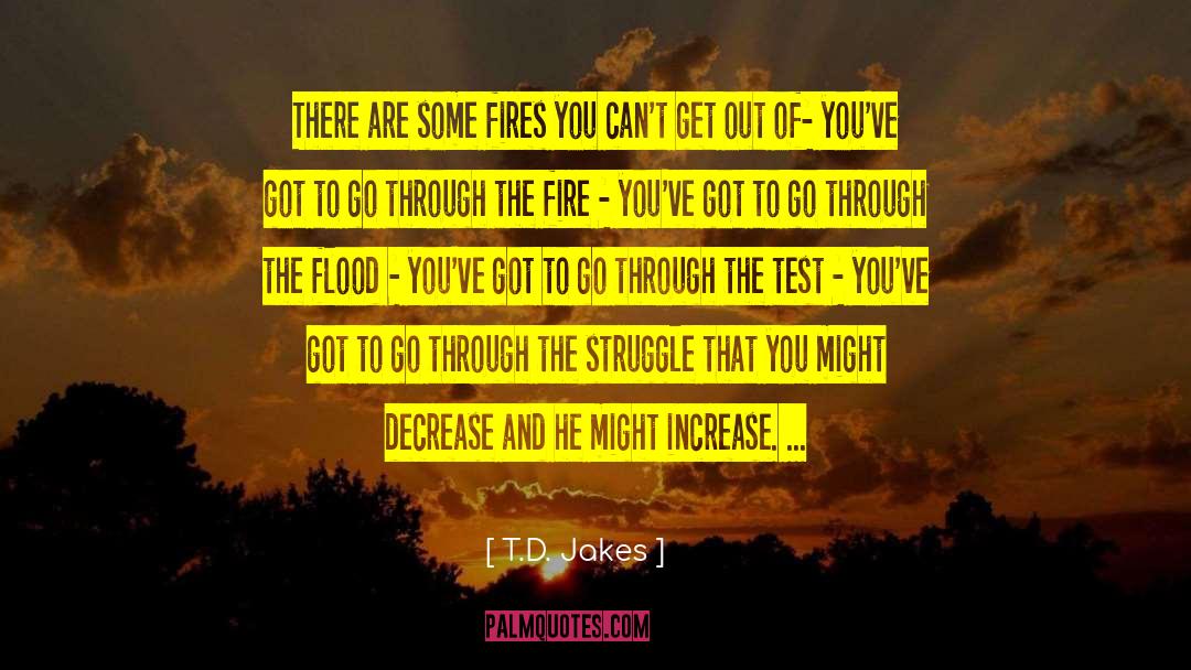 T.D. Jakes Quotes: There are some fires you