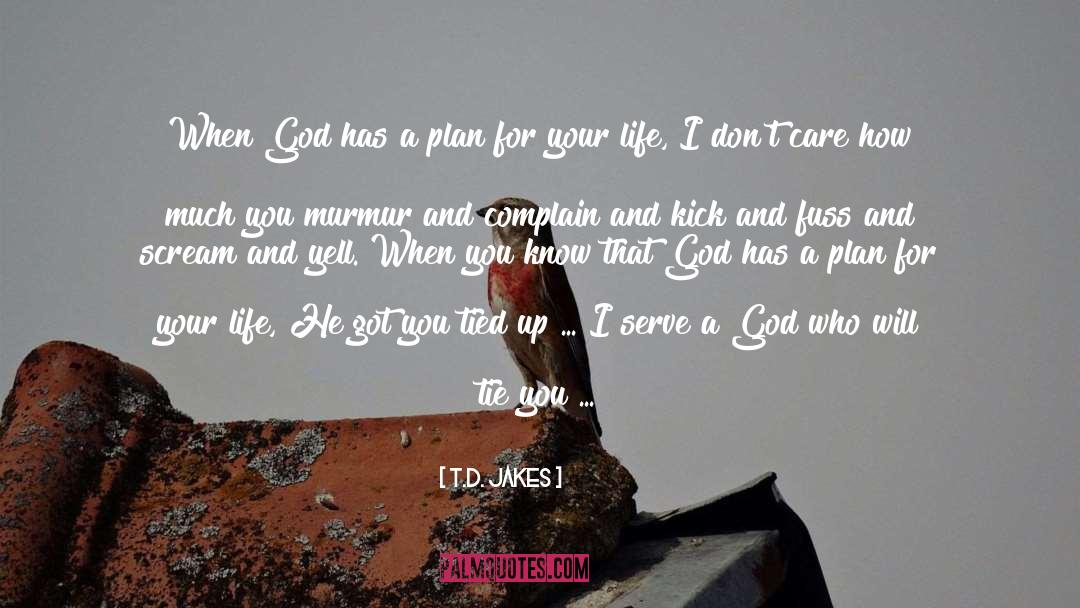 T.D. Jakes Quotes: When God has a plan