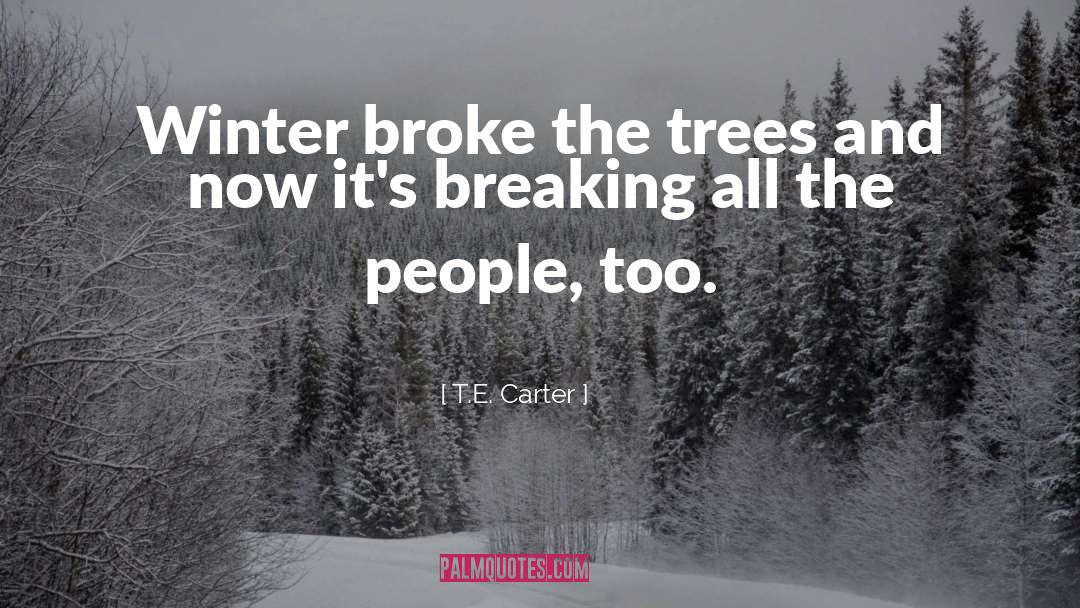 T.E. Carter Quotes: Winter broke the trees and