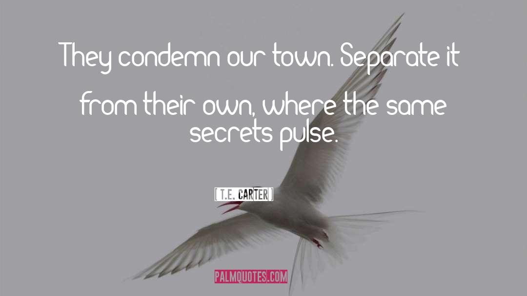 T.E. Carter Quotes: They condemn our town. Separate