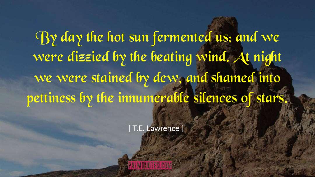 T.E. Lawrence Quotes: By day the hot sun