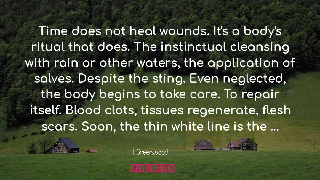 T. Greenwood Quotes: Time does not heal wounds.