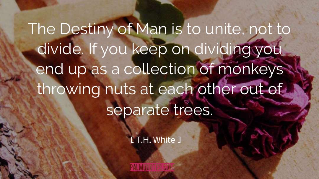 T.H. White Quotes: The Destiny of Man is