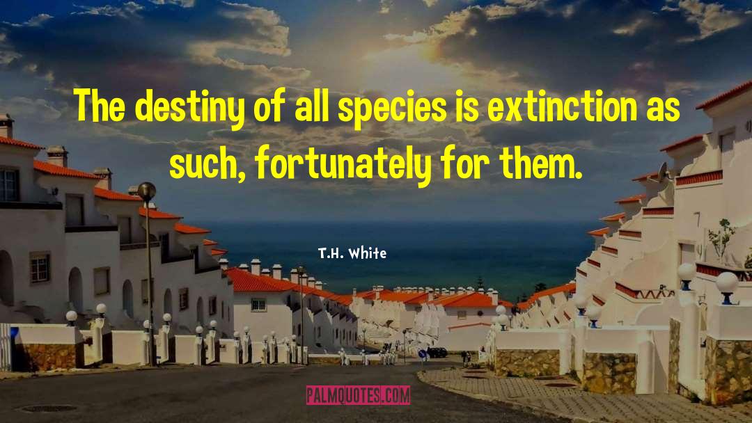T.H. White Quotes: The destiny of all species