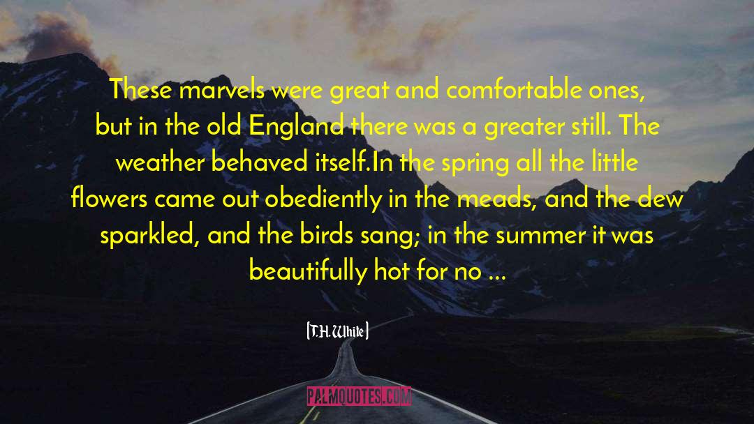 T.H. White Quotes: These marvels were great and