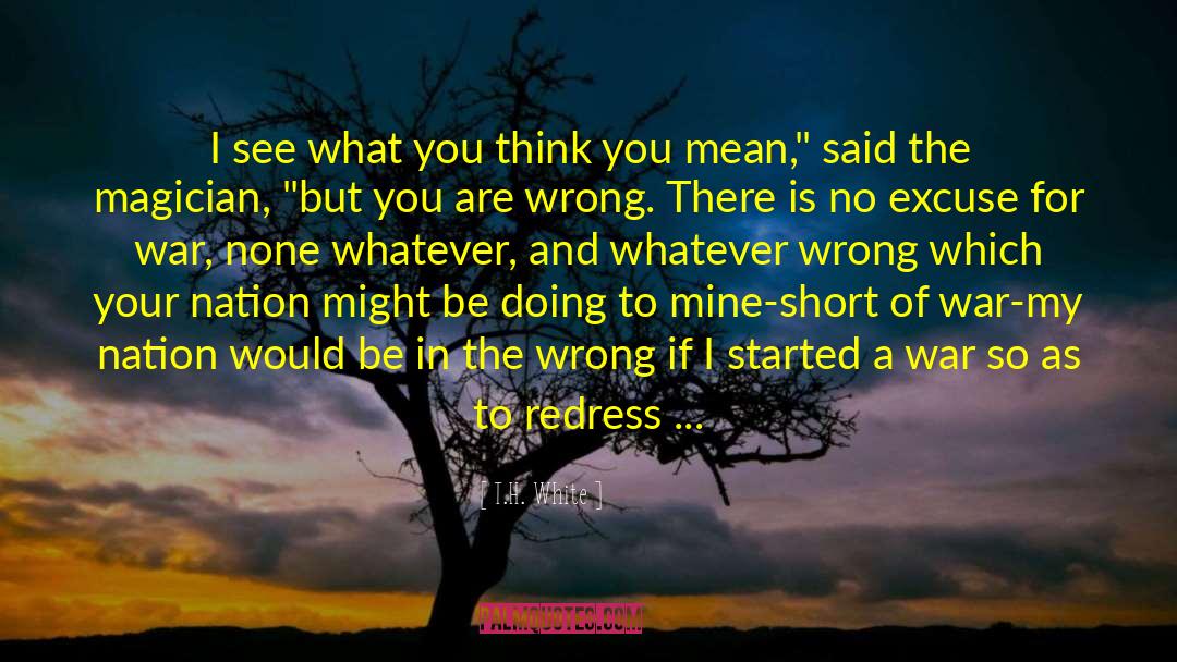 T.H. White Quotes: I see what you think