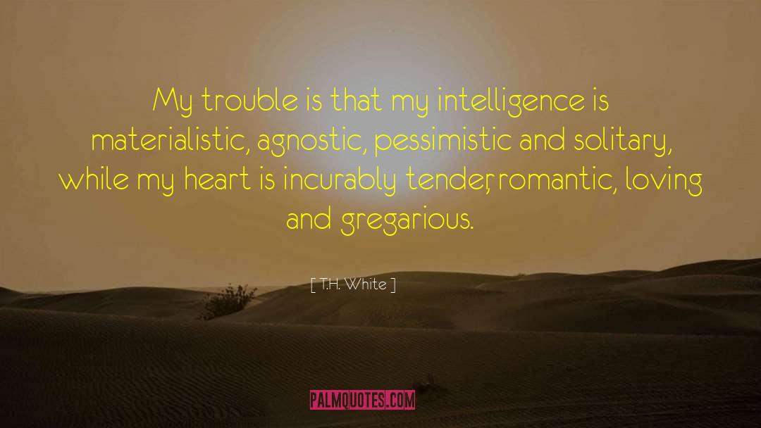 T.H. White Quotes: My trouble is that my