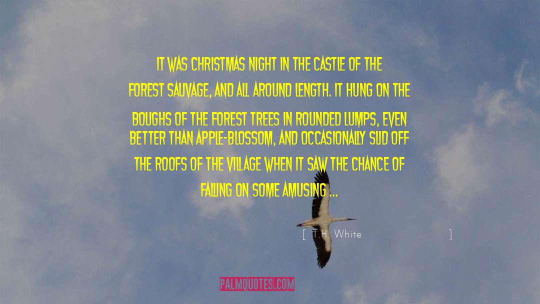 T.H. White Quotes: It was Christmas night in