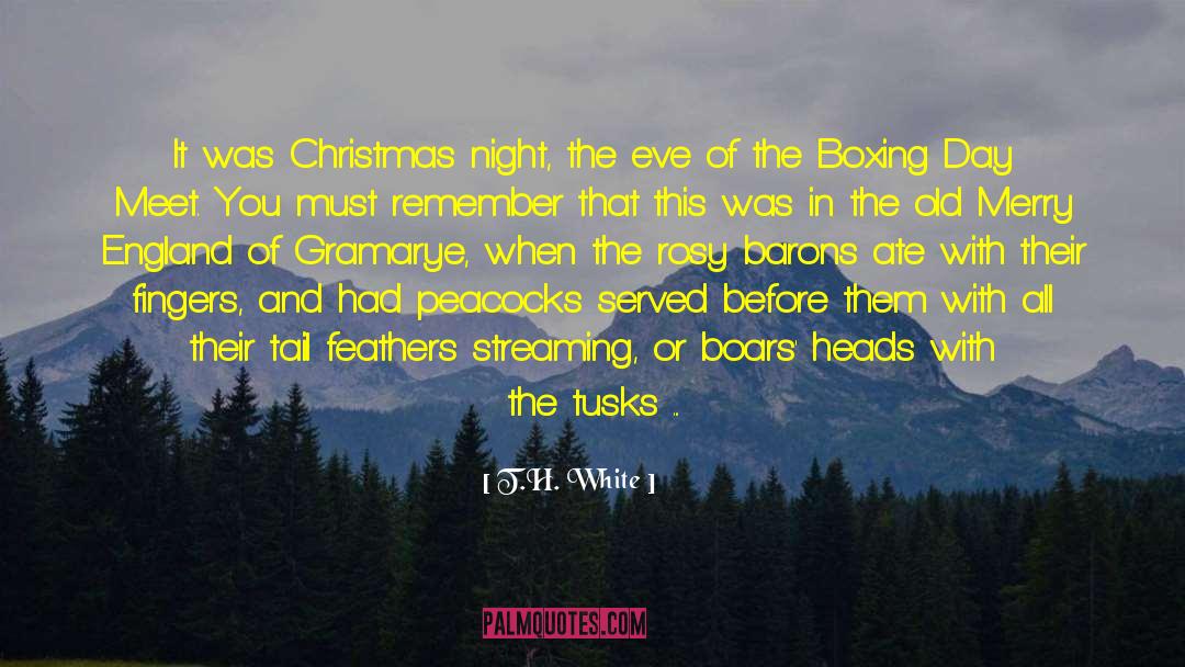 T.H. White Quotes: It was Christmas night, the