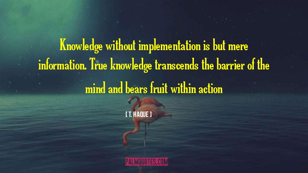 T. Haque Quotes: Knowledge without implementation is but