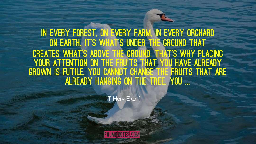 T. Harv Eker Quotes: In every forest, on every