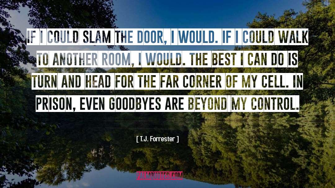 T.J. Forrester Quotes: If I could slam the