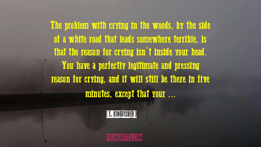 T. Kingfisher Quotes: The problem with crying in
