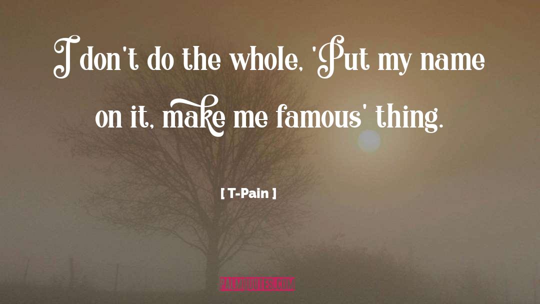 T-Pain Quotes: I don't do the whole,