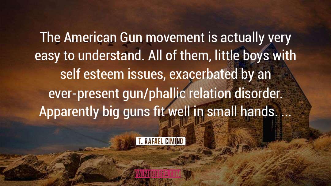 T. Rafael Cimino Quotes: The American Gun movement is