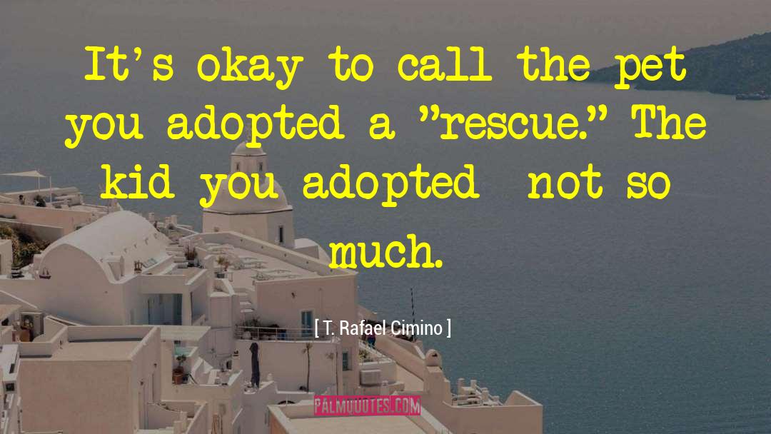 T. Rafael Cimino Quotes: It's okay to call the