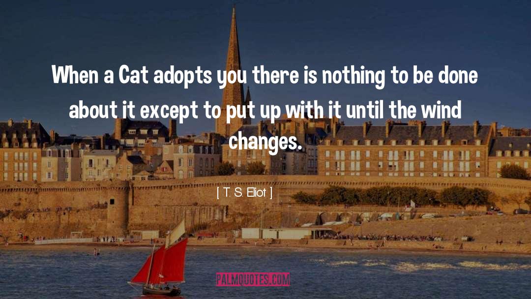 T. S. Eliot Quotes: When a Cat adopts you