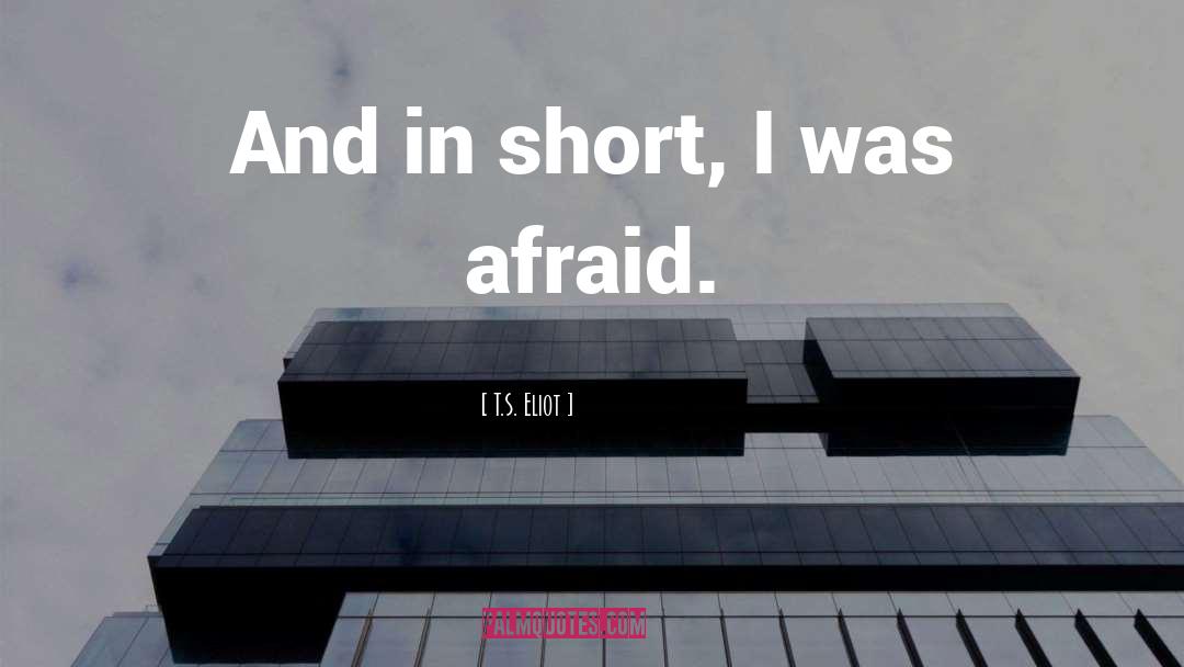 T. S. Eliot Quotes: And in short, I was