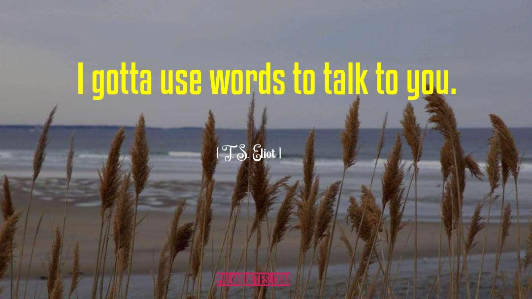 T. S. Eliot Quotes: I gotta use words to