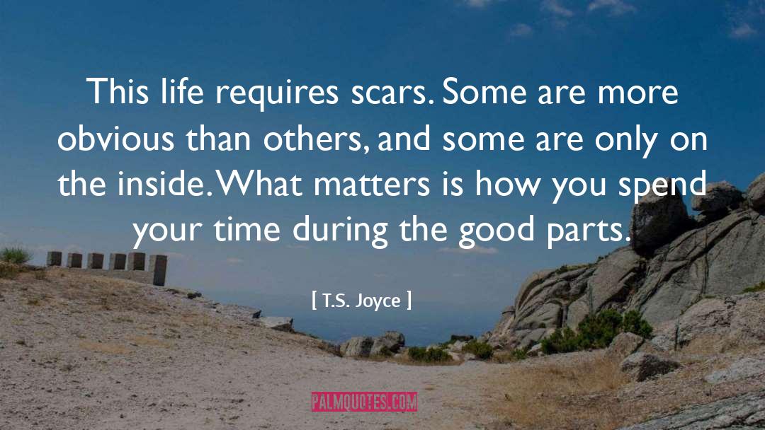 T.S. Joyce Quotes: This life requires scars. Some