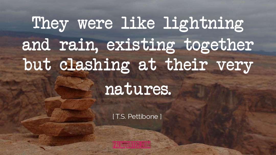 T.S. Pettibone Quotes: They were like lightning and