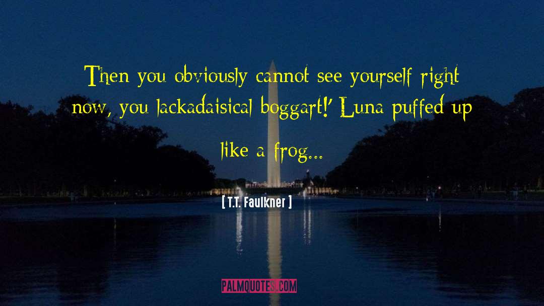 T.T. Faulkner Quotes: Then you obviously cannot see