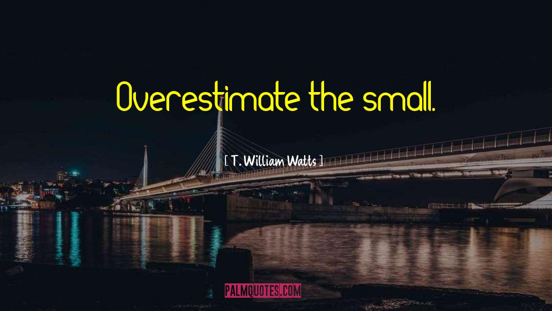 T. William Watts Quotes: Overestimate the small.