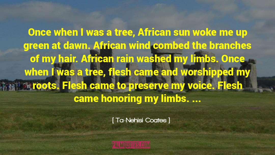 Ta-Nehisi Coates Quotes: Once when I was a